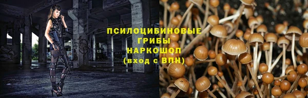 spice Алексин